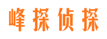 镇平市婚姻调查